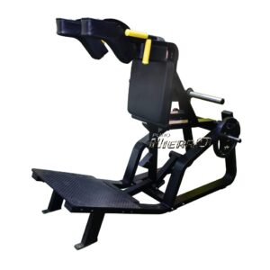 Sentadilla SQUAT U8-R